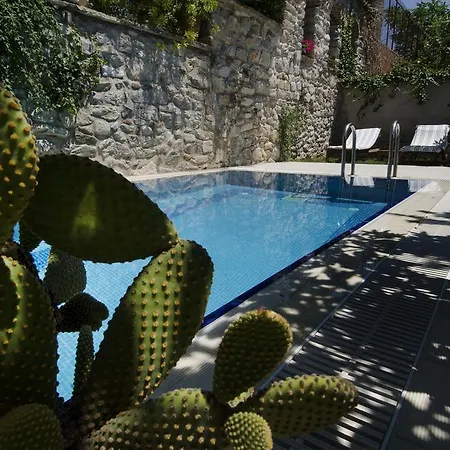 Goldsmith House Willa