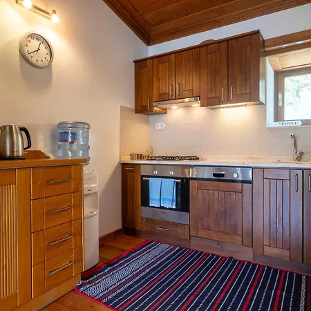 Goldsmith House 别墅 塞尔丘克